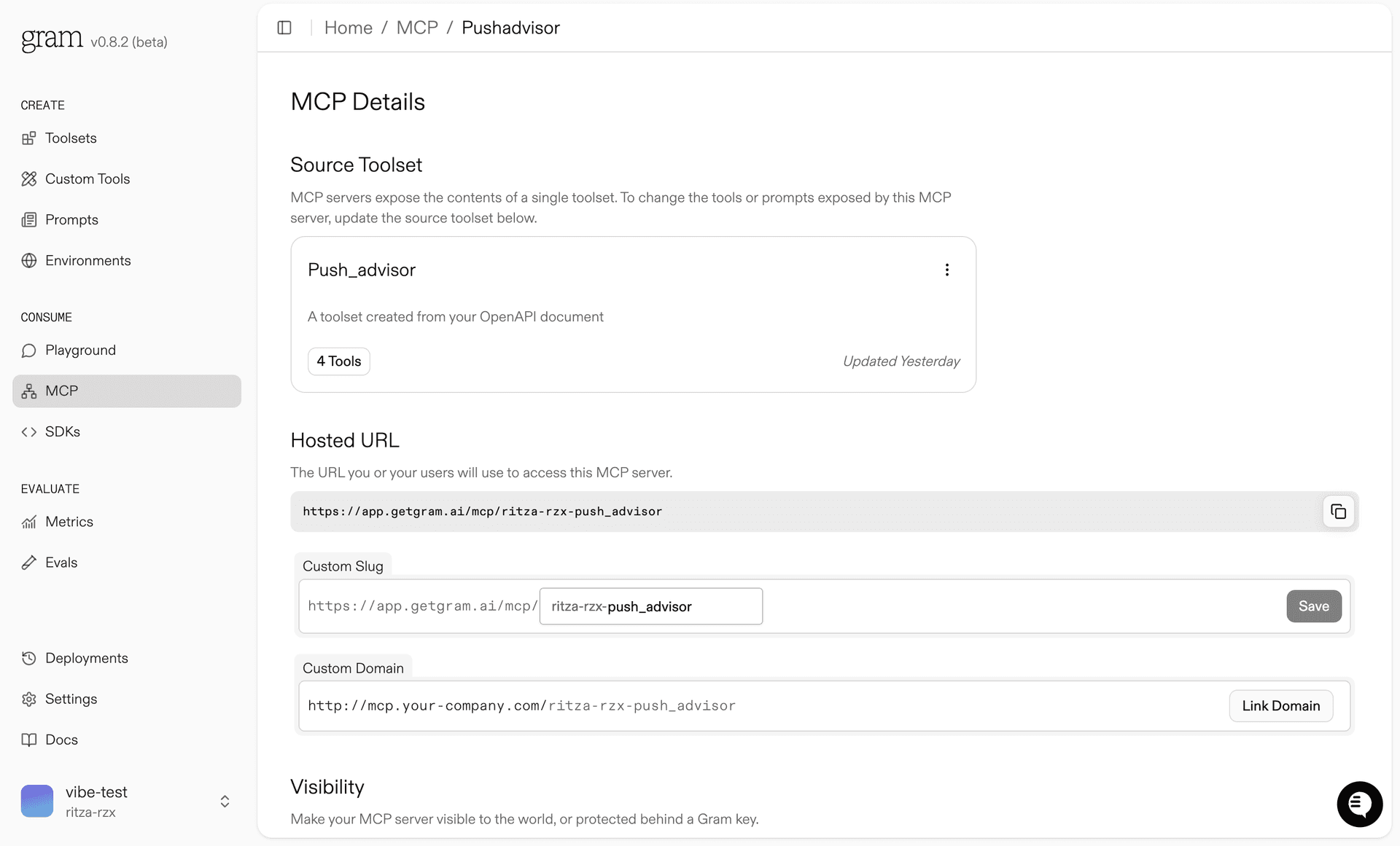 MCP server configuration